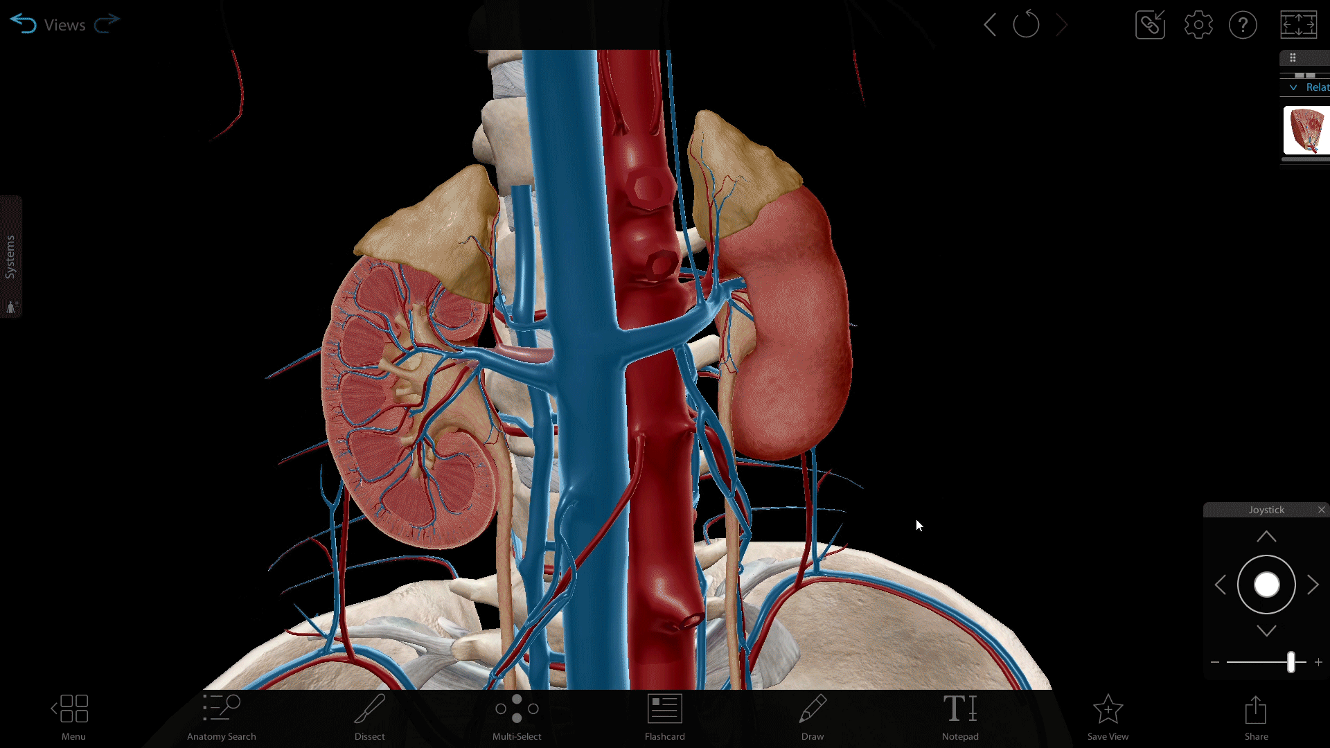 urinary1-1