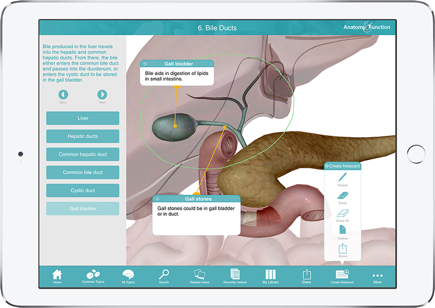 Anatomy & Function showing 3D view of gall bladder with user notecards