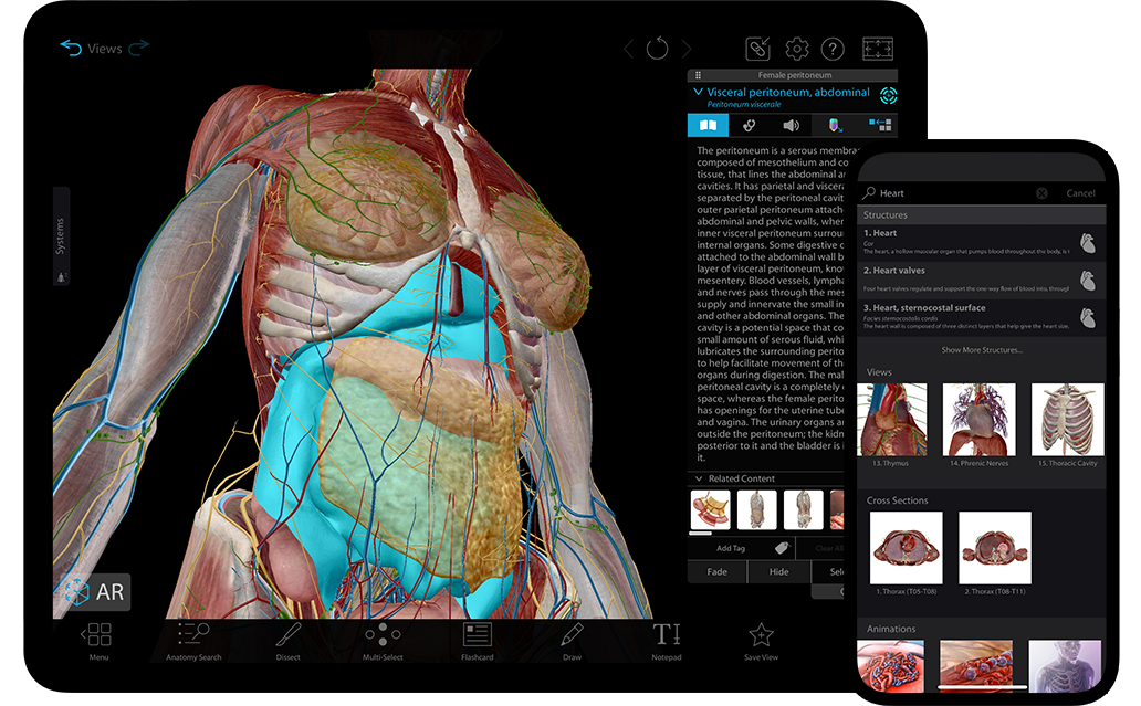 Human Anatomy Atlas 2023⁠＋ 3D Reference & Flashcards