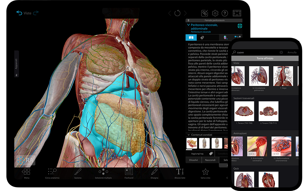 Visible Body  Atlante di anatomia umana 2021 