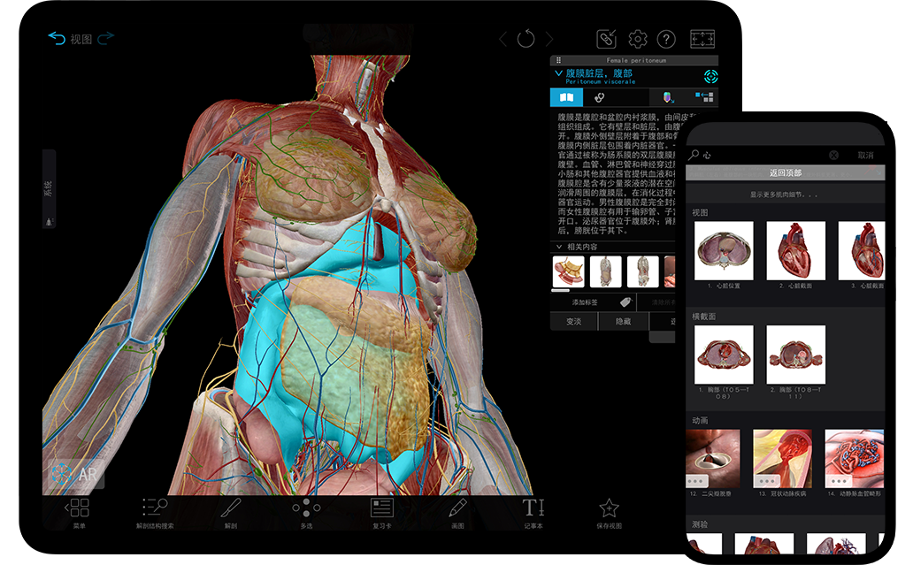 atlas-2022_product-page_phone-tablet_zh