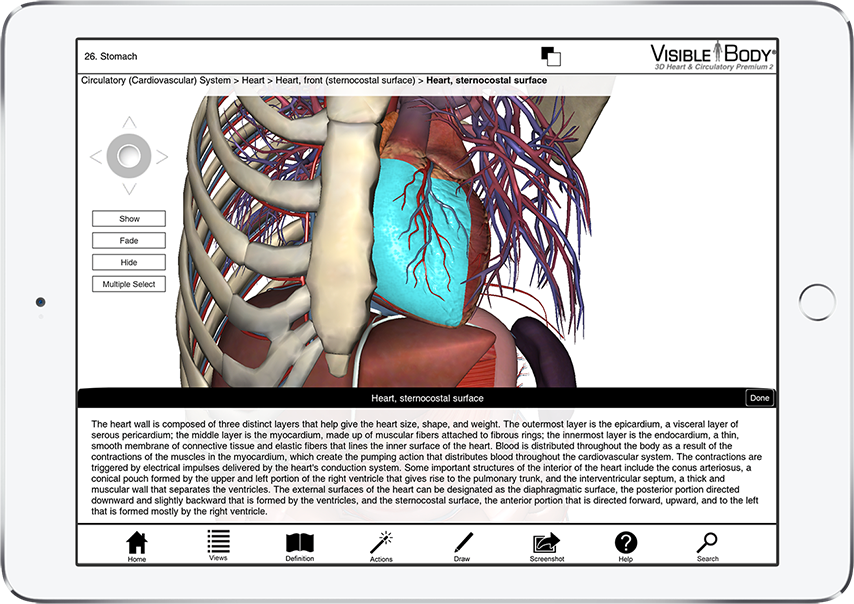 Heart and Circulatory Premium showing 3D view of cardiac anatomy with description of heart