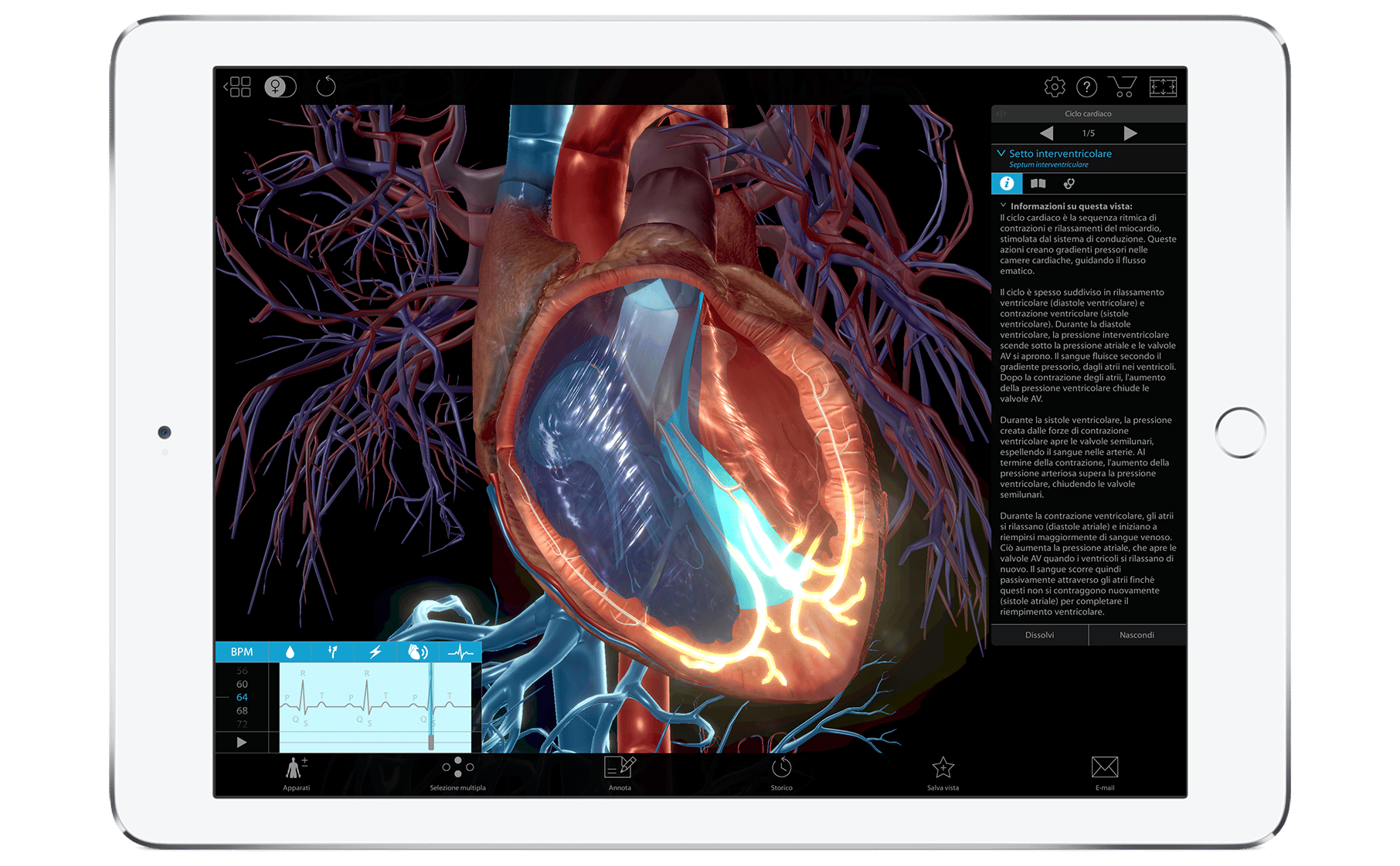 Corpo Umano Virtuale 3d