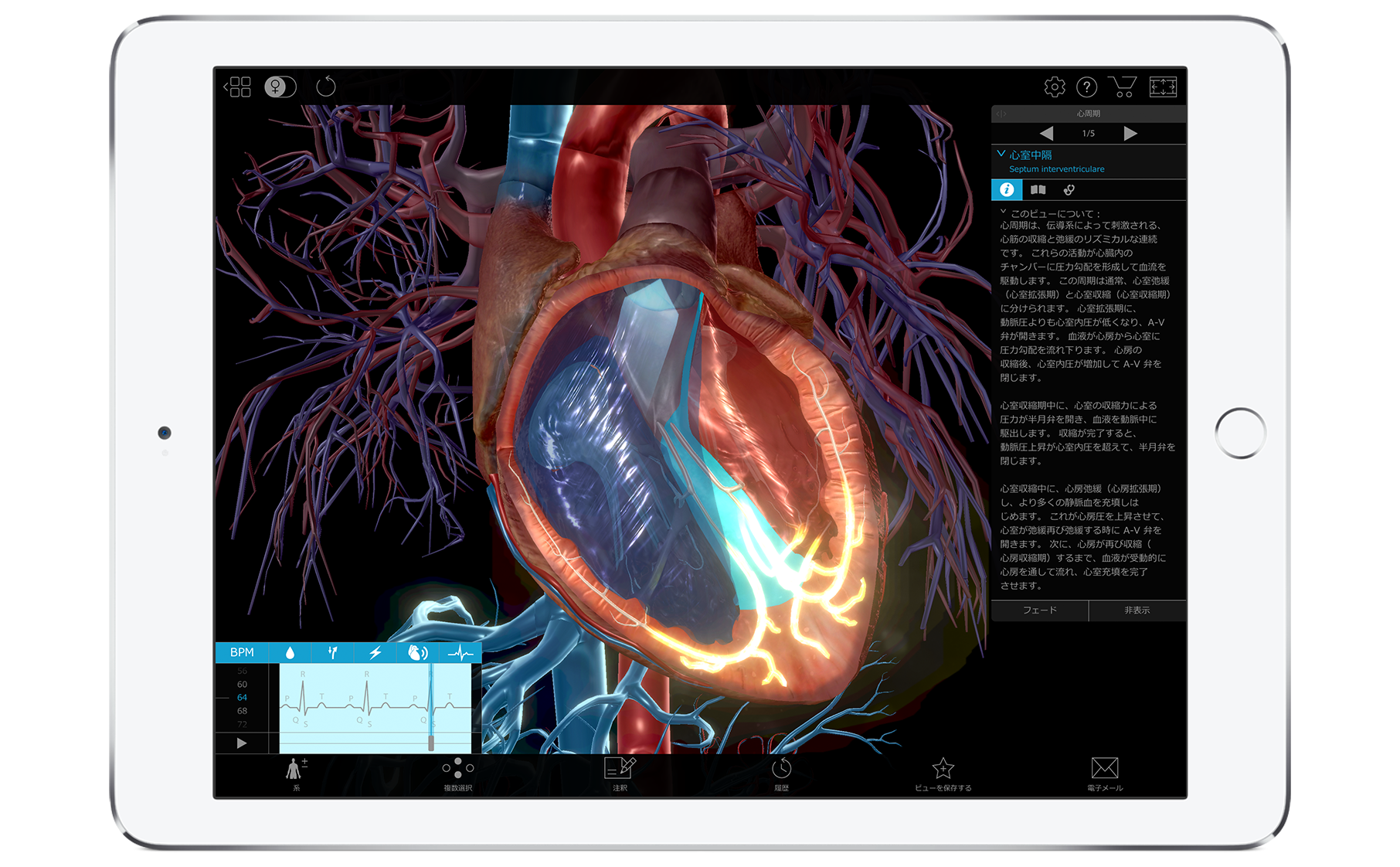 visible-body-pathology-physiology-ios_ja