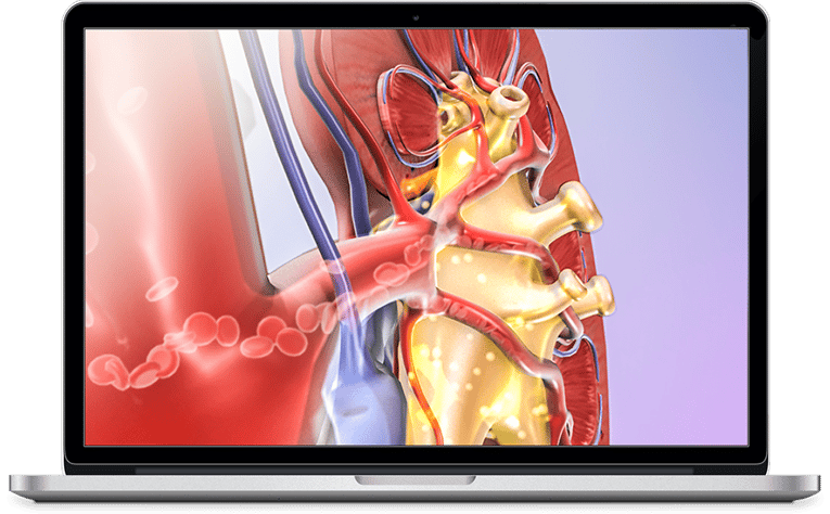 Visible Body's Physiology Animations for iOS, PC, and Mac