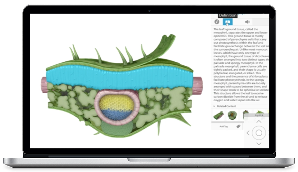 visible-body-biology-header