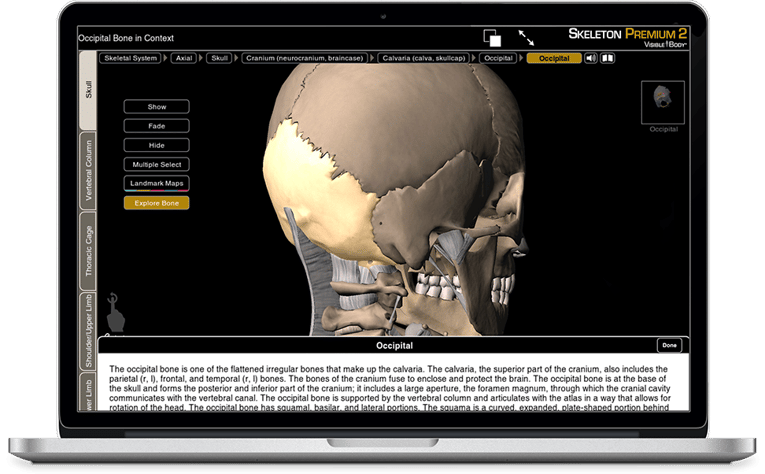 Watch a demo for Skeleton Premium for iOS, Android, PC and Mac