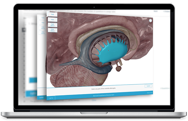 Can My Computer Run Courseware? System Requirements and Tech Specs ...