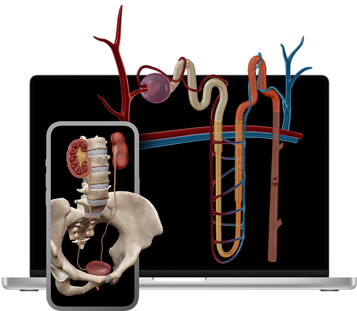 3d-models-out-of-devices-laptop-phone