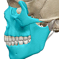 Prefixes and Suffixed eBook image