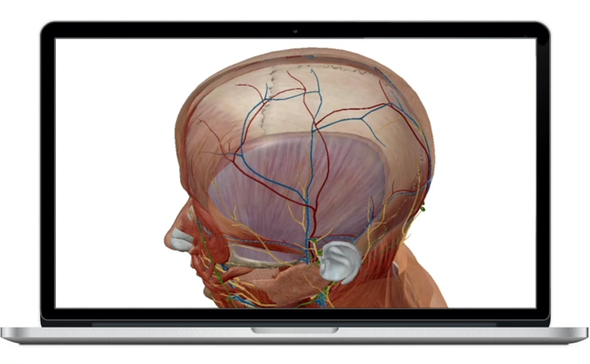 Visible Body Virtual Anatomy to See Inside the Human Body