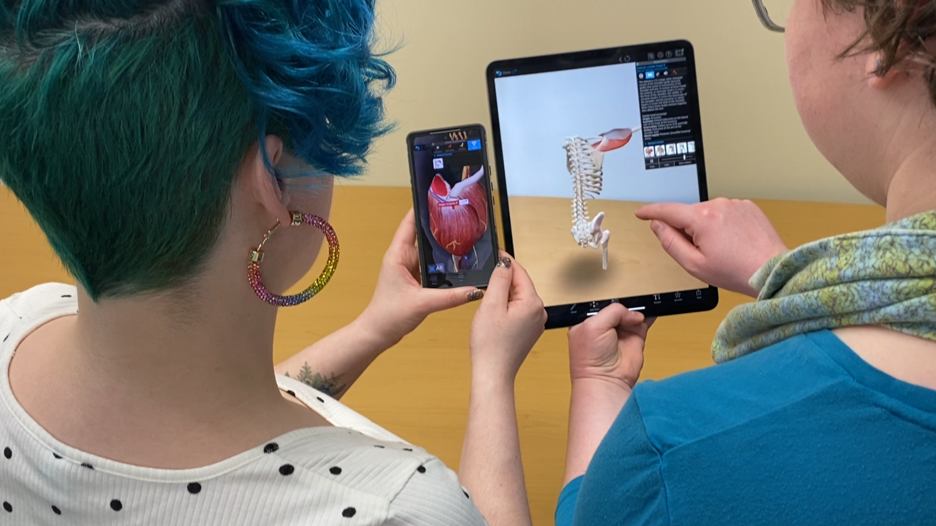 Visible Body's app support augmented reality