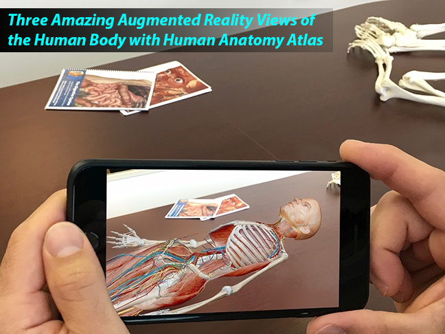 Amazing-AR-Views-Anatomy.png