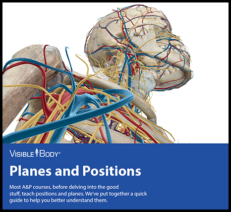 Visible Body eBook Planes and Positions