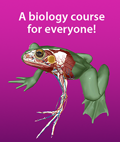 3D rendering of a dissected frog with the words "A biology course for everyone"