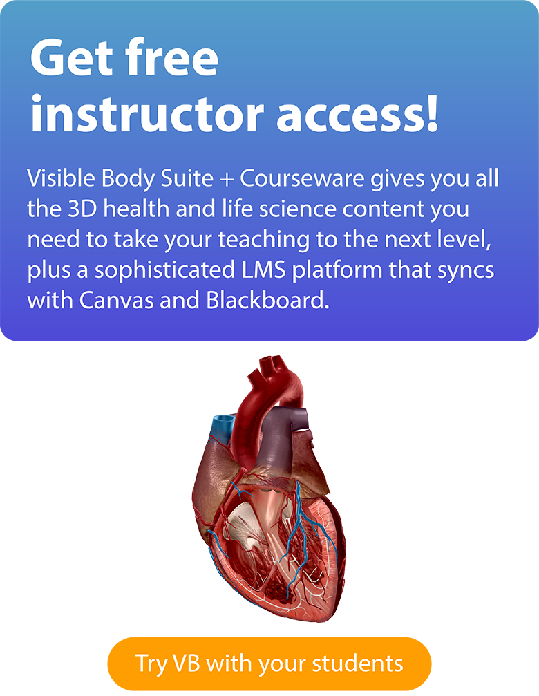 Draw it to Know it – Physiology, Organ Systems, Free Download