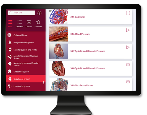 Visible Body Anatomy & Phyisiology for PC/Mac