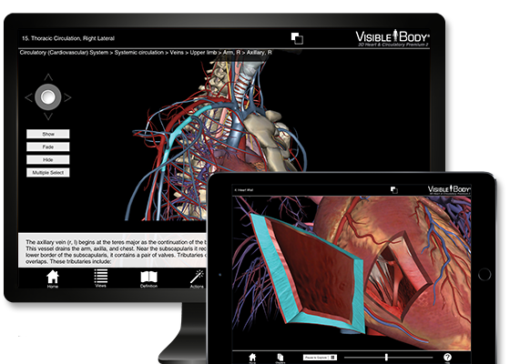 Visible Body Heart & Circulatory Premium for PC/Mac