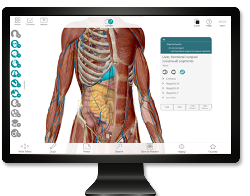 Visible Body Human Anatomy Atlas for PC/Mac