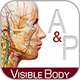 anatomy_and_physiology_80
