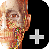 Human Anatomy Atlas 2023＋ App Icon