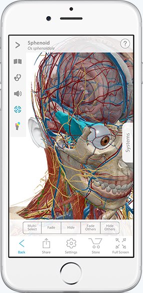 Human Anatomy Atlas - Visual 3D gross and micro anatomy atlas