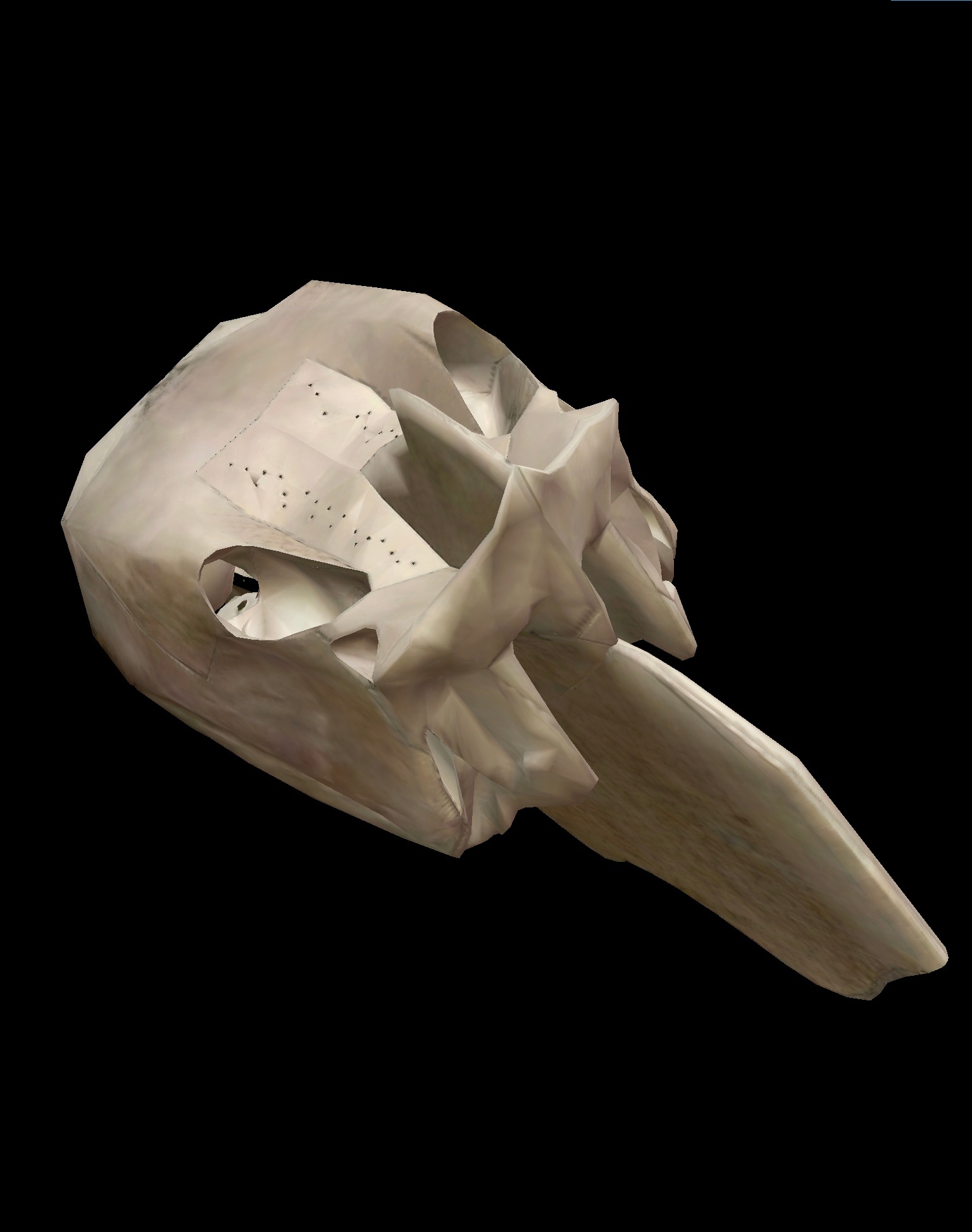 3D Skeletal System: Five Things to Know about the Ethmoid Bone