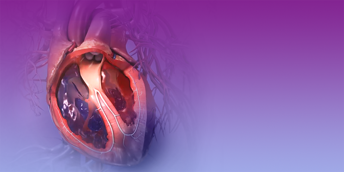 An Anatomy & Physiology Course for Everyone! | Visible Body Learn Site