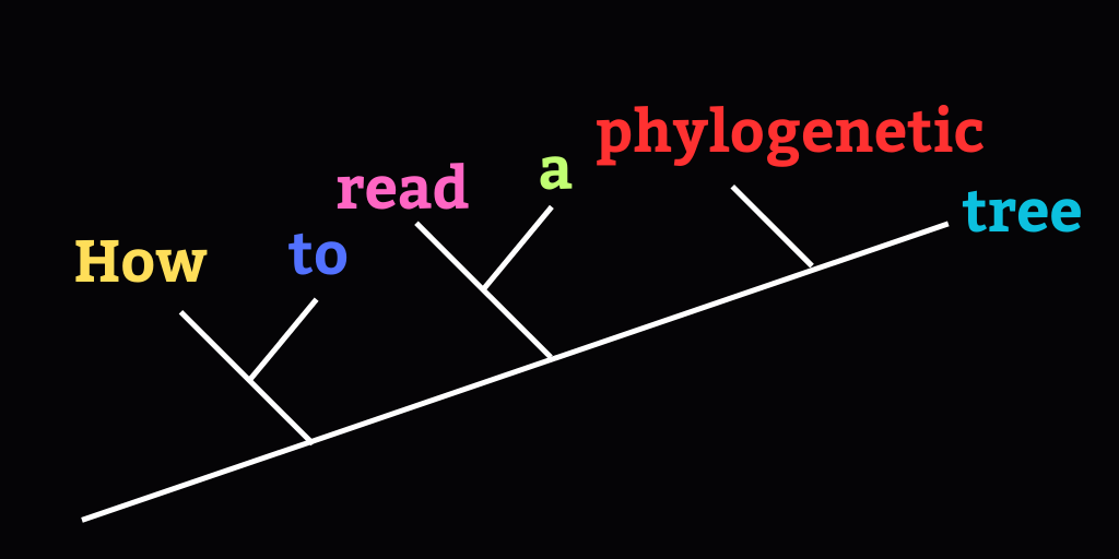 Phylogenetic Trees, Cladograms, and How to Read Them