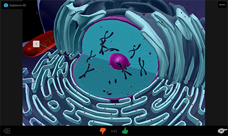 Lesson plans and lab activities in Visible Biology