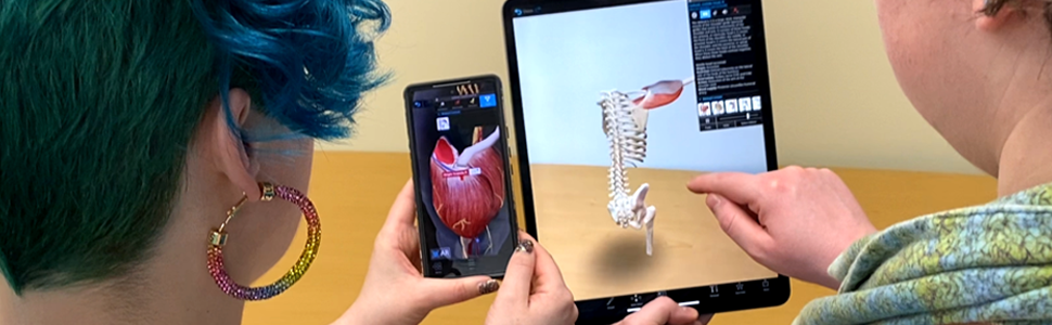 Students using augmented reality to study muscle actions