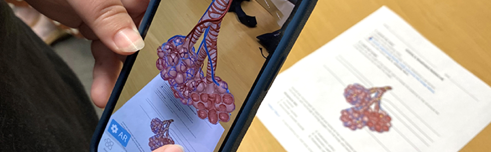 Student using Visible Body’s 3D visuals on a mobile device to complete a lab activity