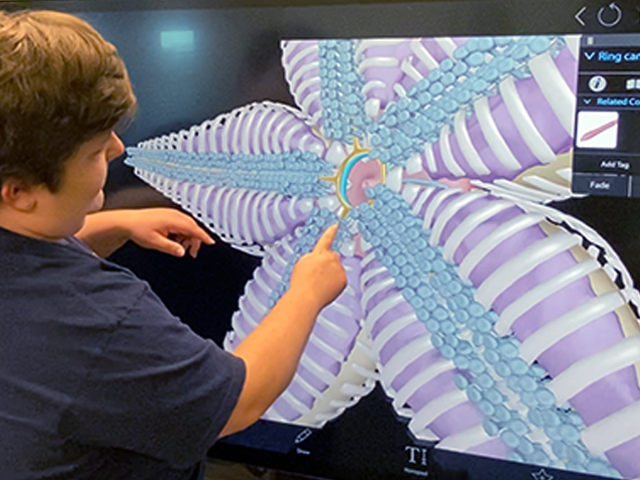 Student using a large touchscreen device for a virtual sea star dissection
