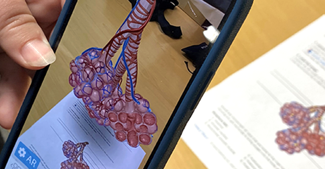 Student using Visible Body’s 3D visuals on a mobile device to complete a lab activity