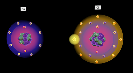 Visible Body Suite biochemistry screenshot