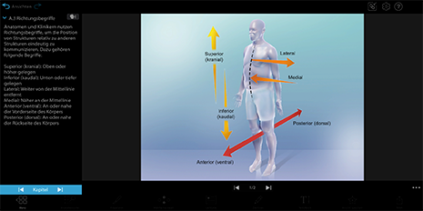 Visible Body Suite showing various planes and positions of a human body