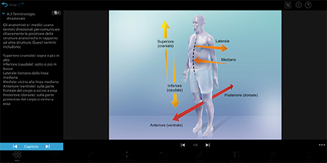 Visible Body Suite showing various planes and positions of a human body