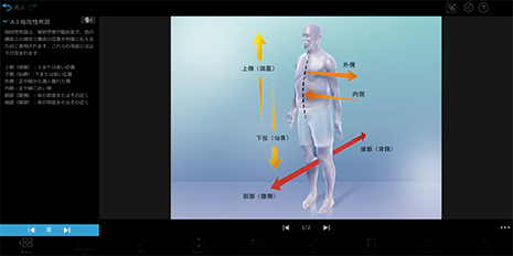 Visible Body Suite showing various planes and positions of a human body