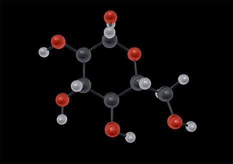 Explore the structure of a glucose molecule in Visible Body Suite