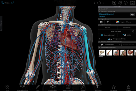 Visible Body Suite's new and improved info box