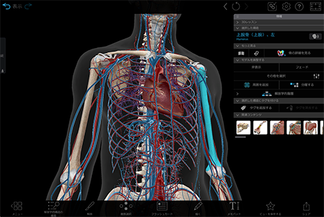 Visible Body Suite's new and improved info box