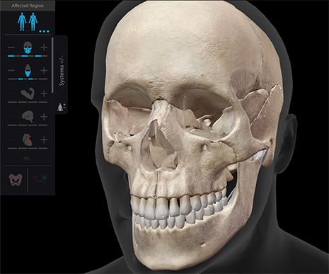 Layers in Visible Body Suite