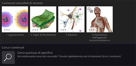 Content Search in Visible Body Suite