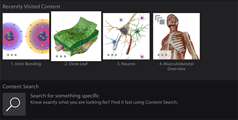 Content Search in Visible Body Suite