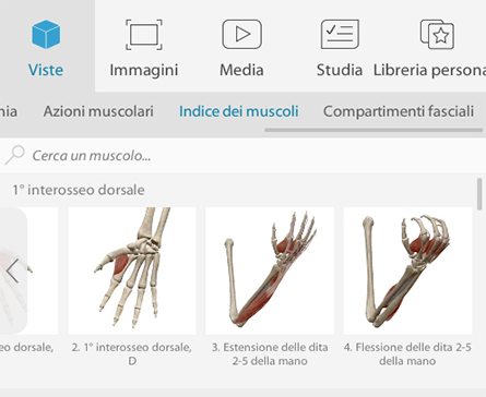 Anteprima dei contenuti