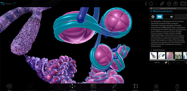Online biology content for teaching in 3D Online biology content for teaching in 3D