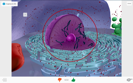 Flashcard from Visible Biology app showing a 3d model of the interior of a human cell