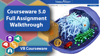 Walkthrough of an assignment in Courseware 5