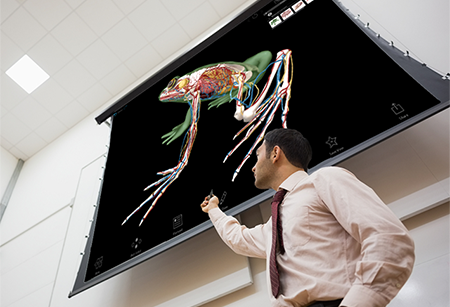 Ordinateur portable affichant des images en 3D du cerveau humain issues de Visible Body