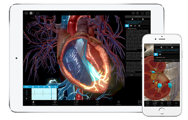 Visible Body Virtual Anatomy To See Inside The Human Body